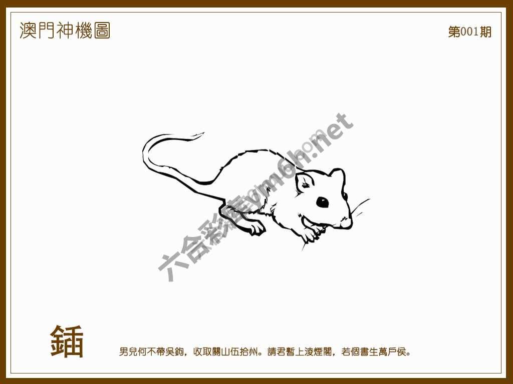 澳门神机图