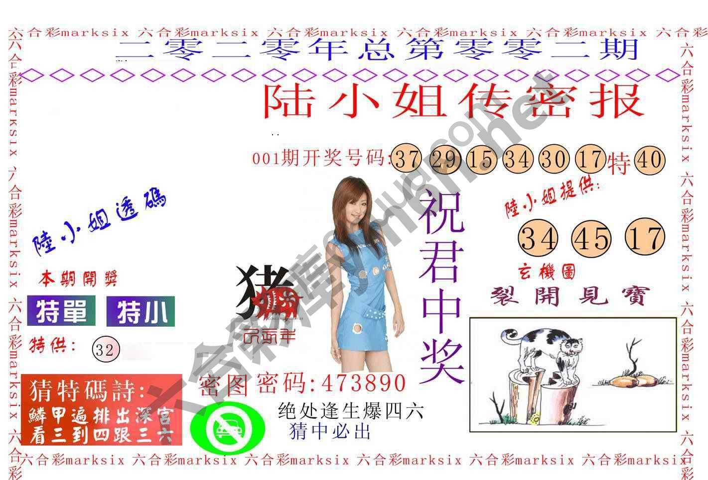 陆小姐传密