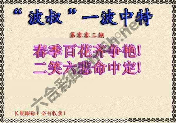 波叔一波中特