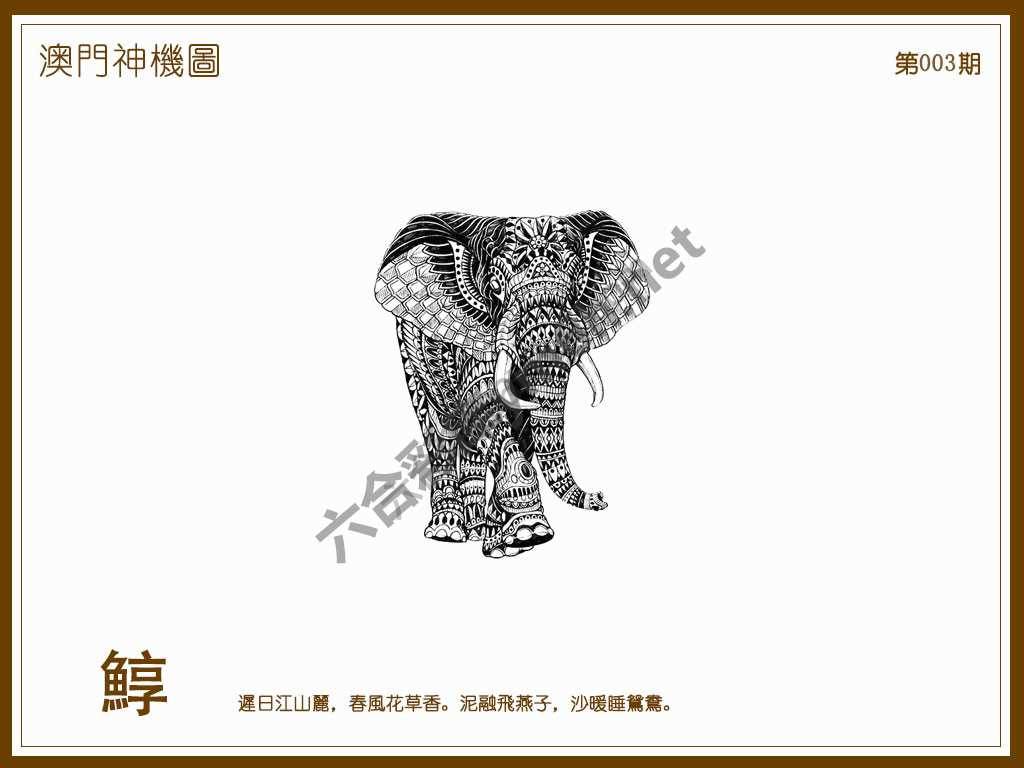 澳门神机图