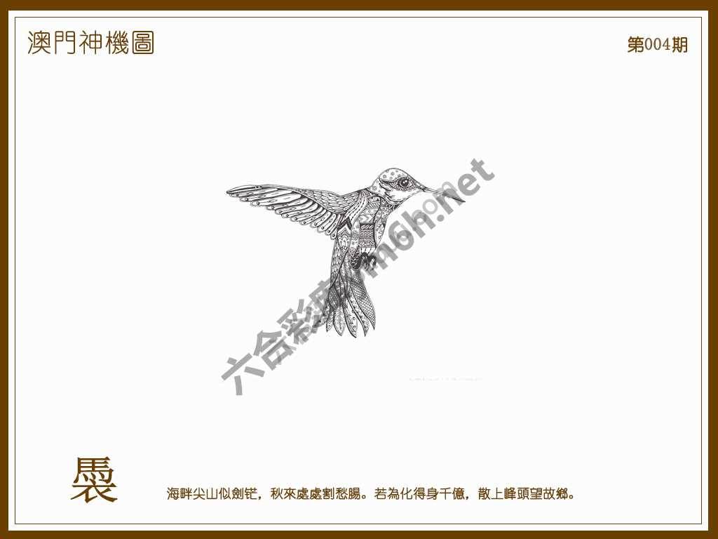 澳门神机图