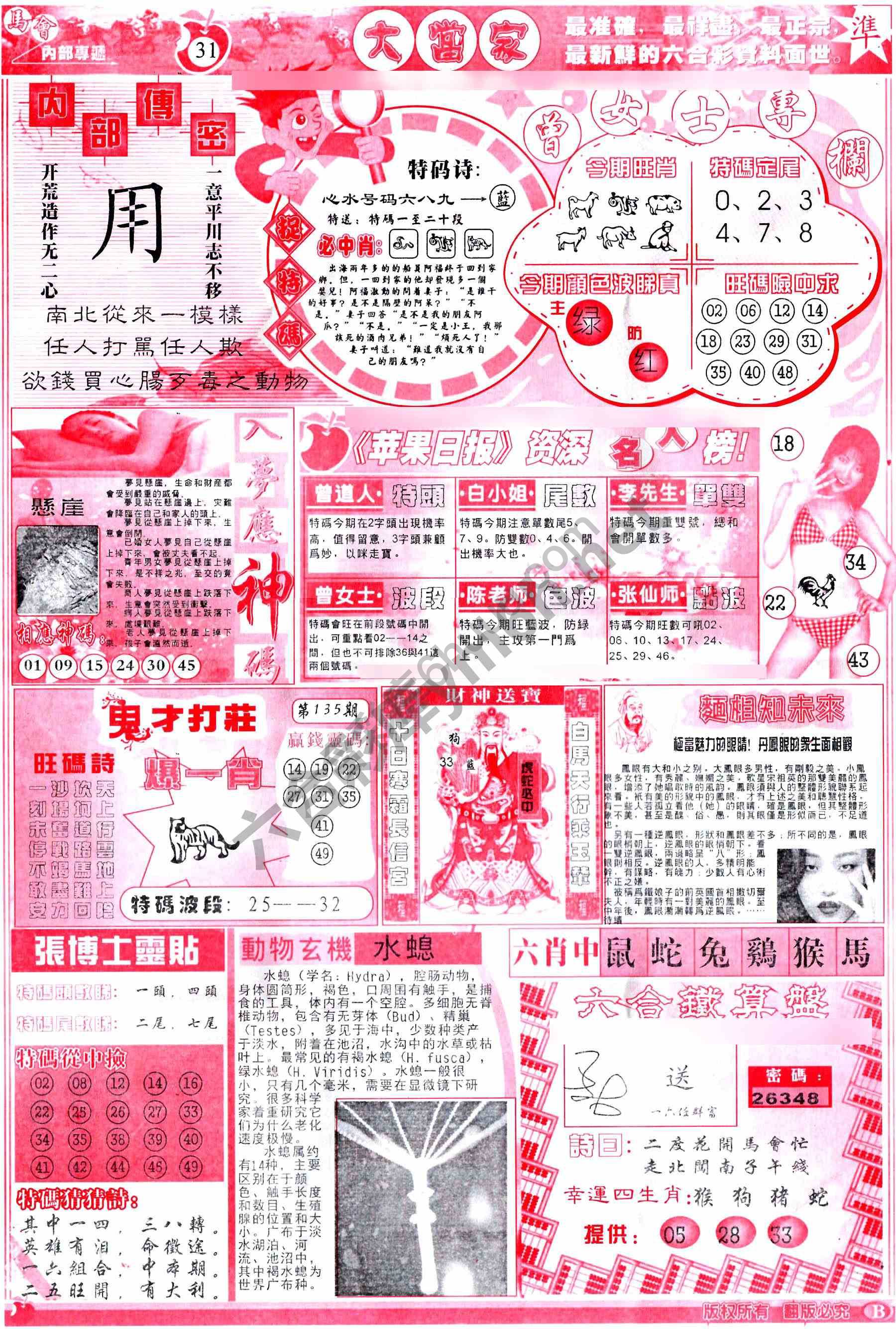 大当家