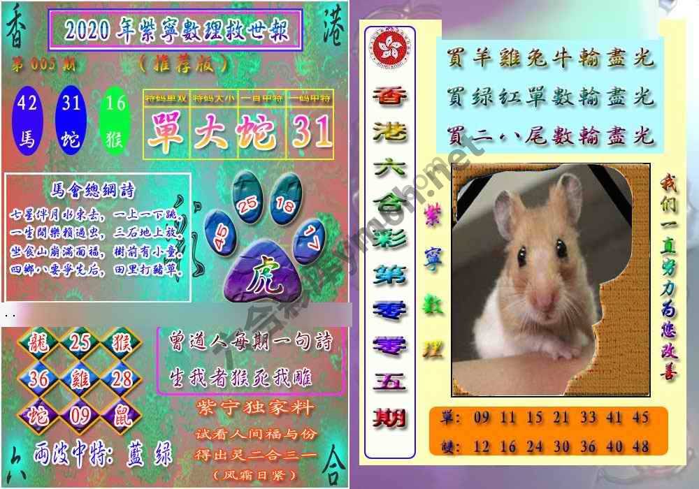 数理救世报