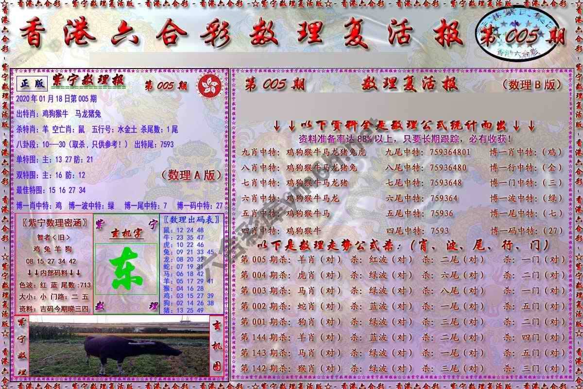 数理复活报