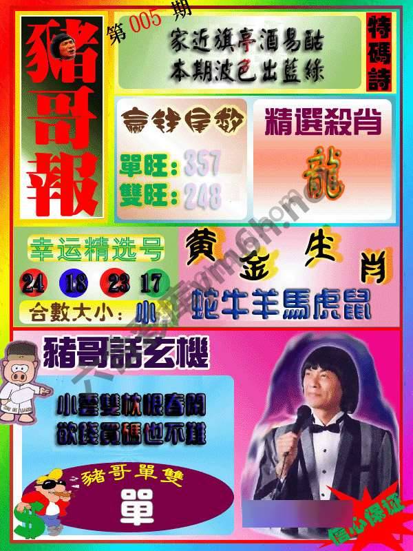 猪哥报