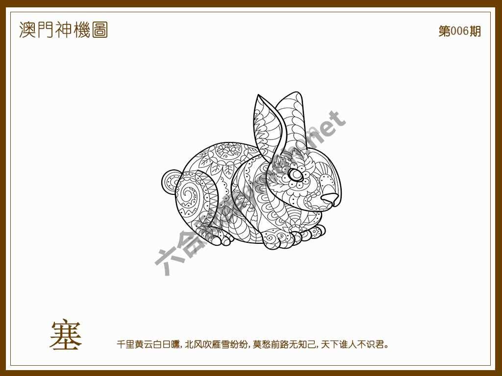 澳门神机图