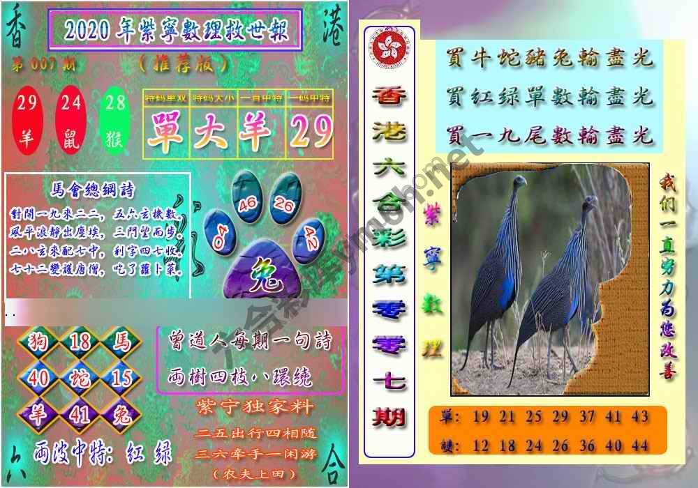数理救世报