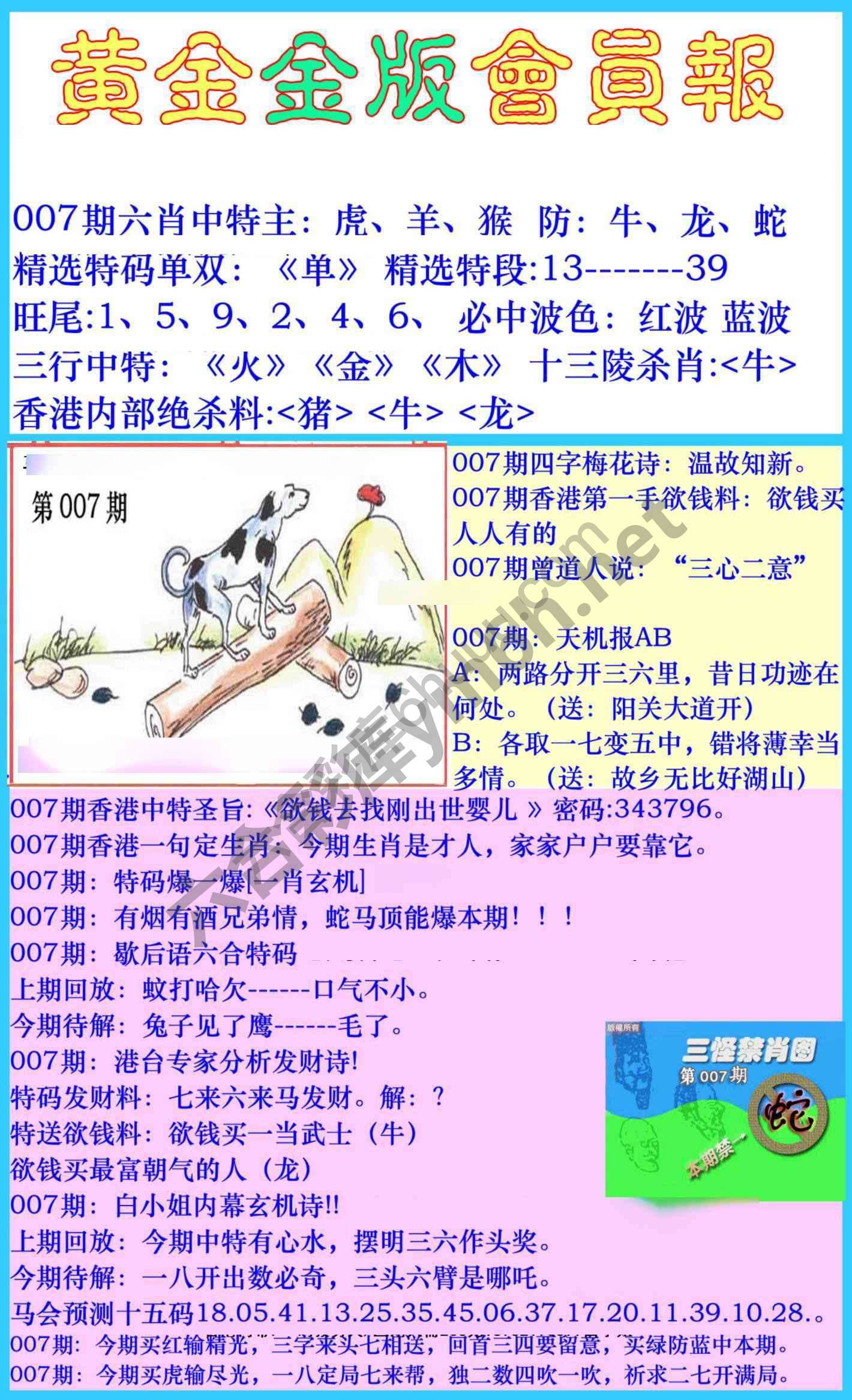 黄金金版会员报