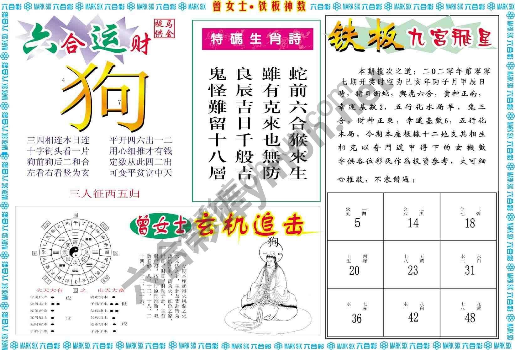 曾女士铁板神数