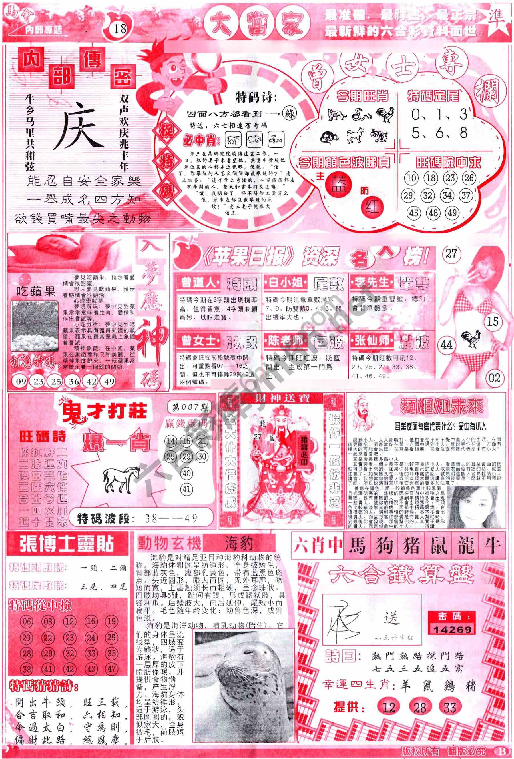 大当家