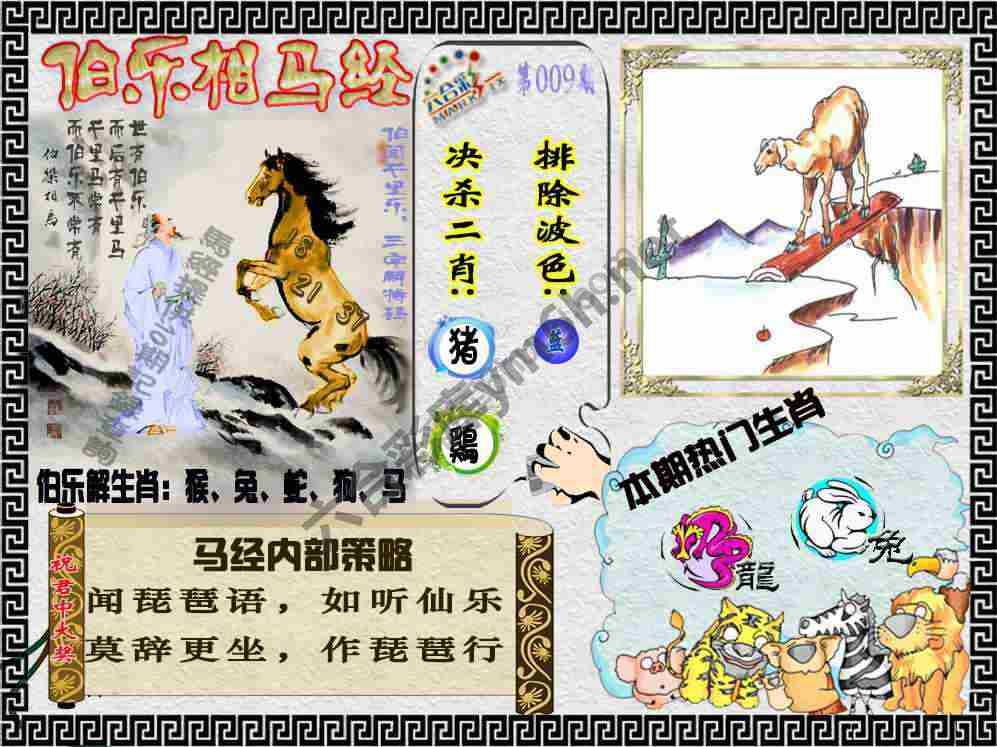 伯乐相马经