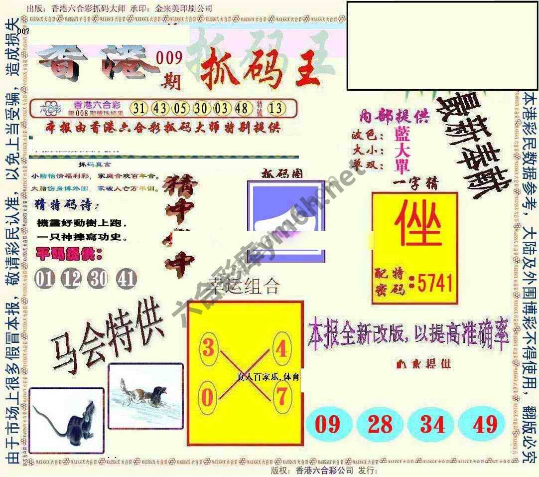 新抓码王