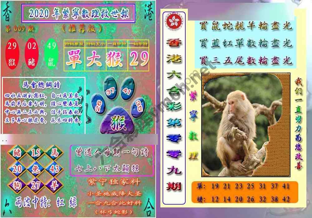 数理救世报