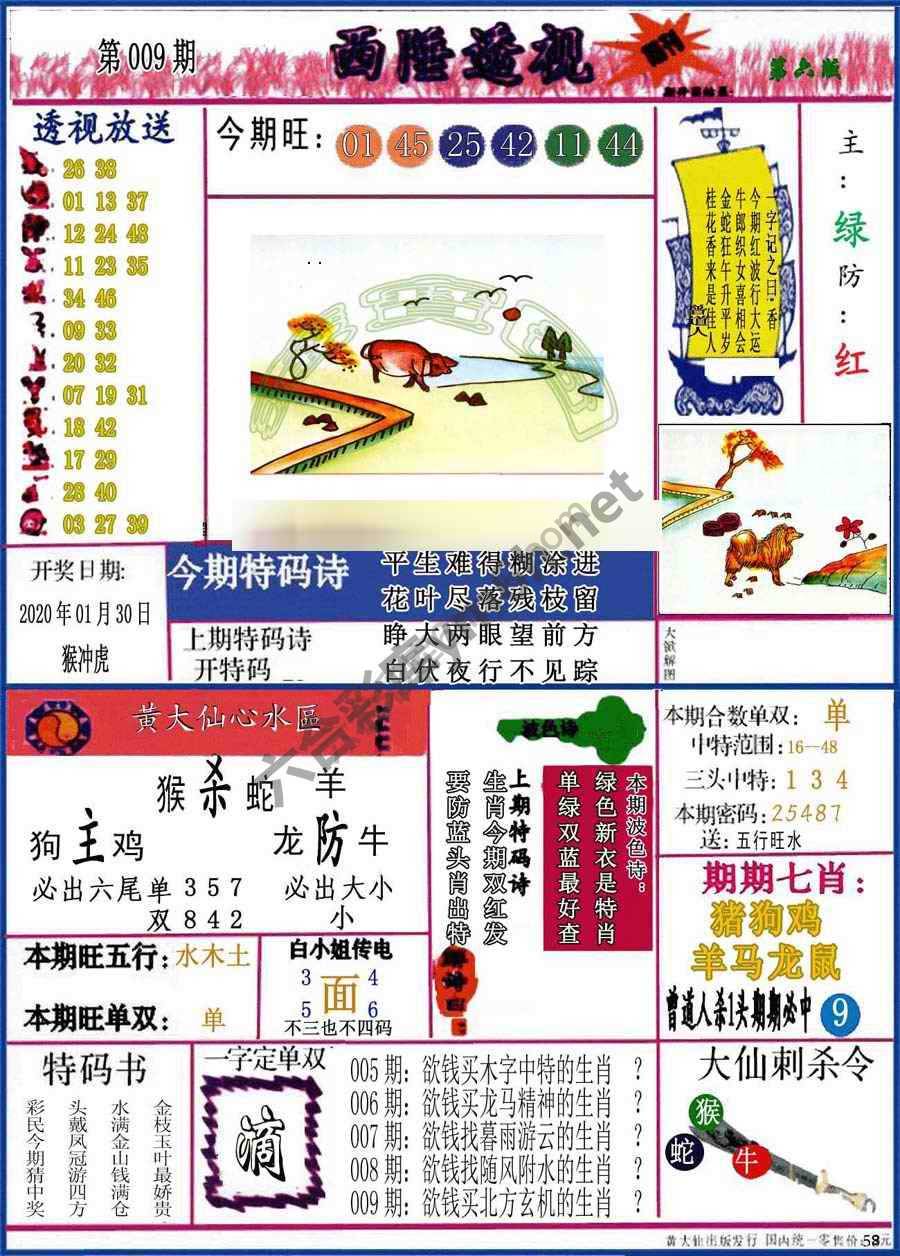 西陲透视（正版）
