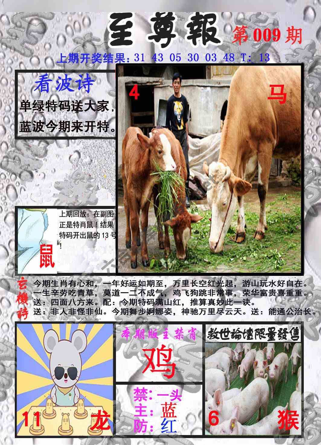 至尊报