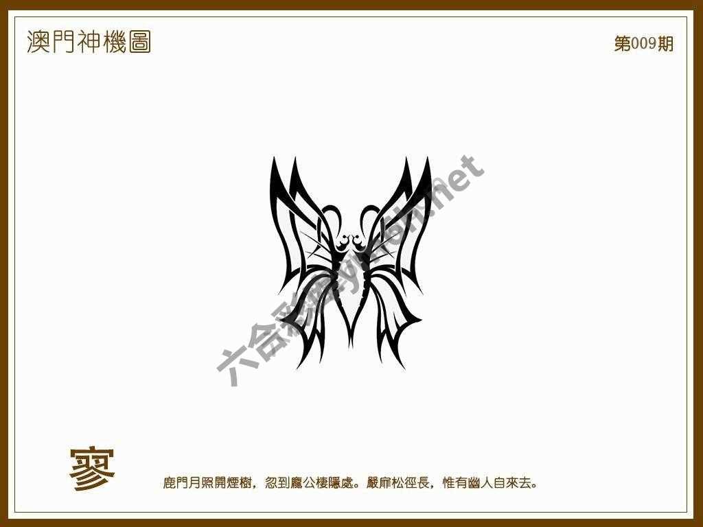 澳门神机图