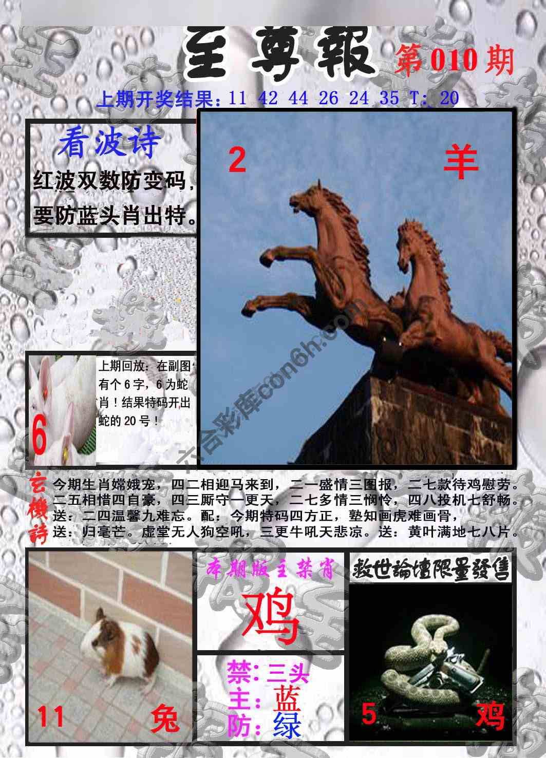 至尊报