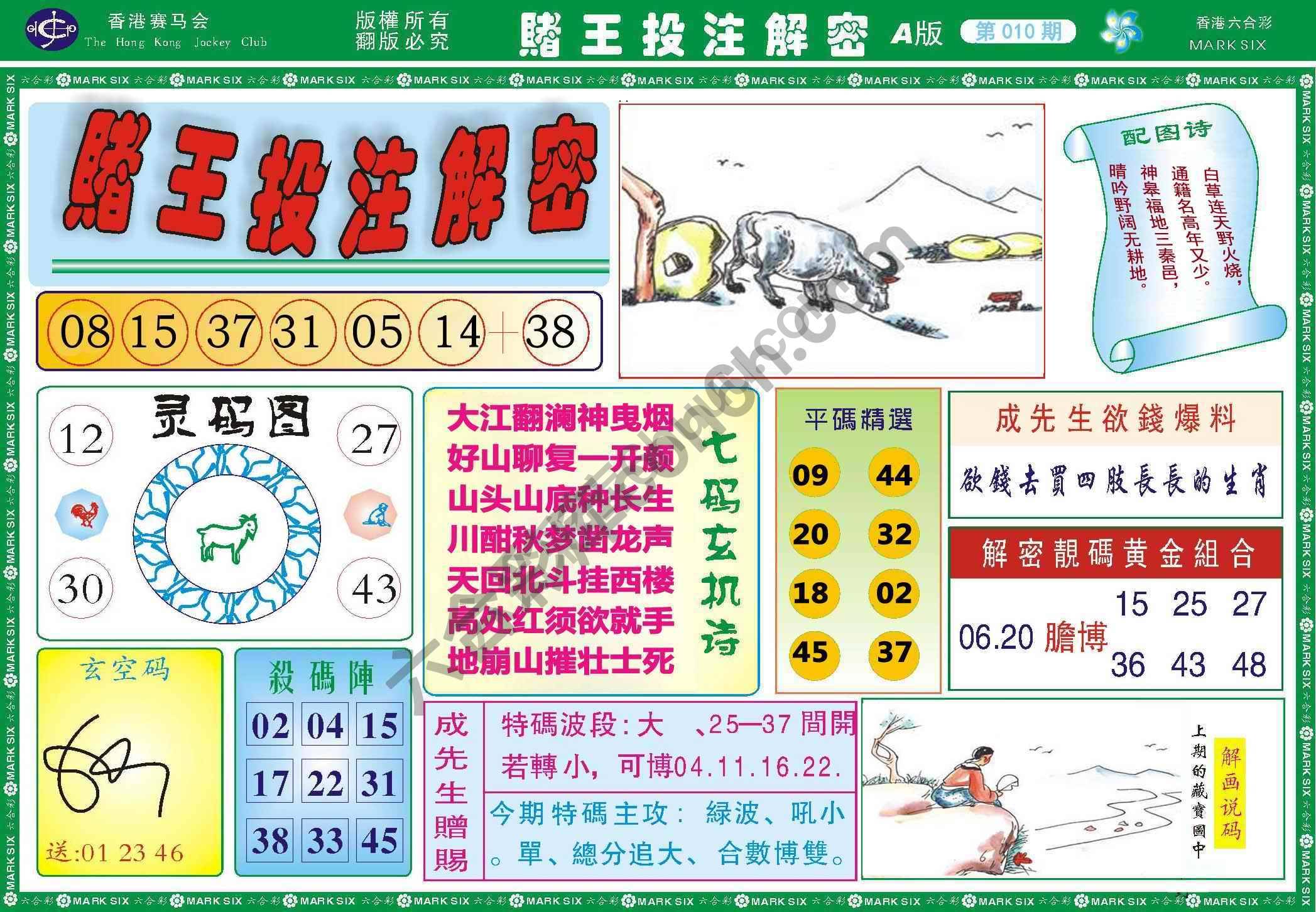 赌王投注解密