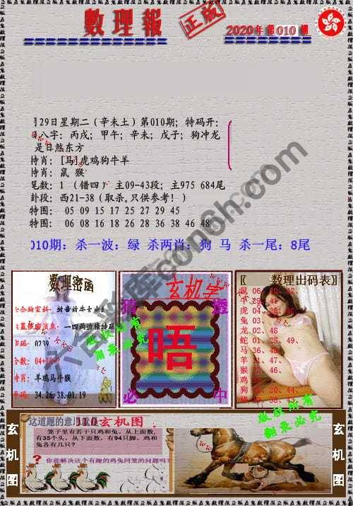 数理报