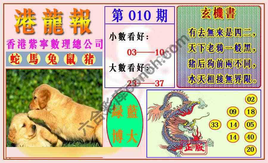 港龙报