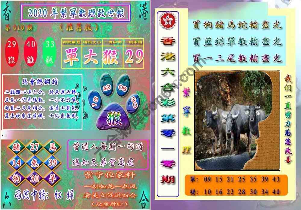 数理救世报