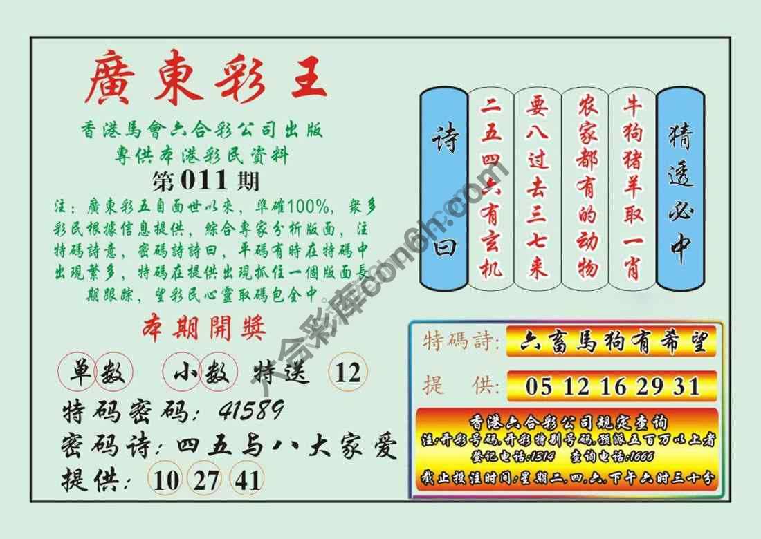 广东彩王