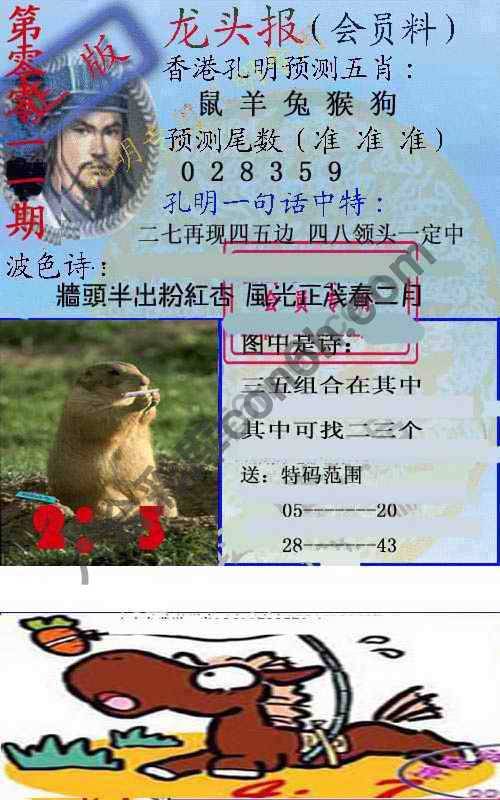 龙头报