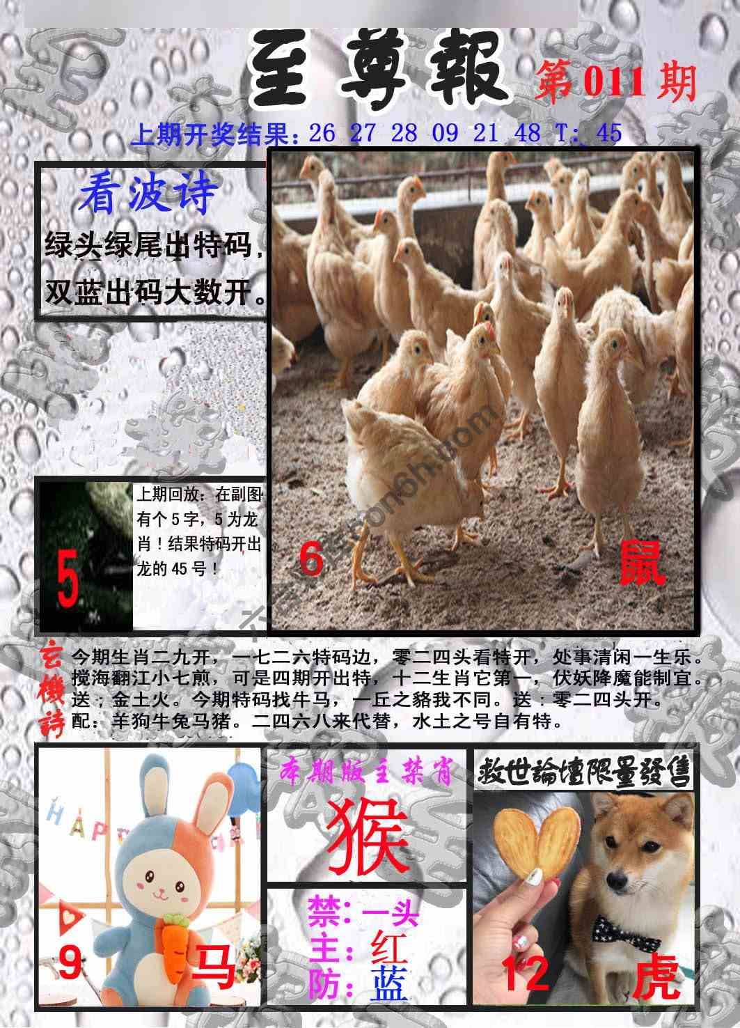 至尊报