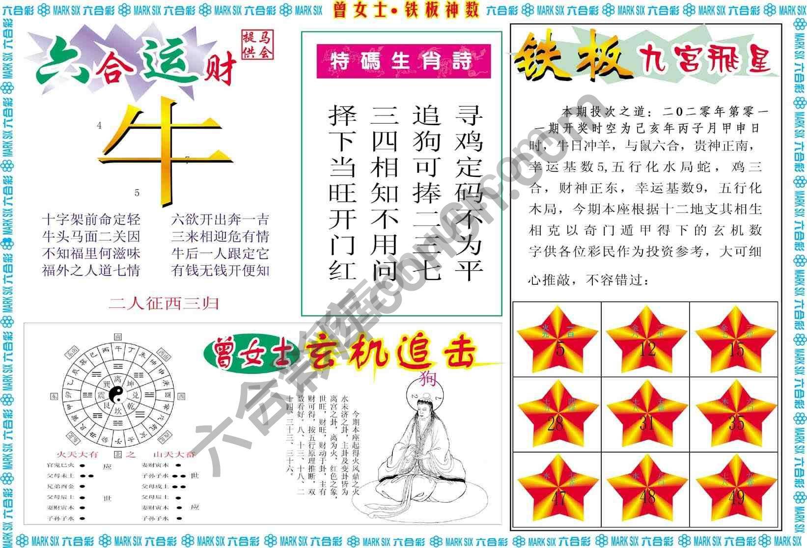 曾女士铁板神数