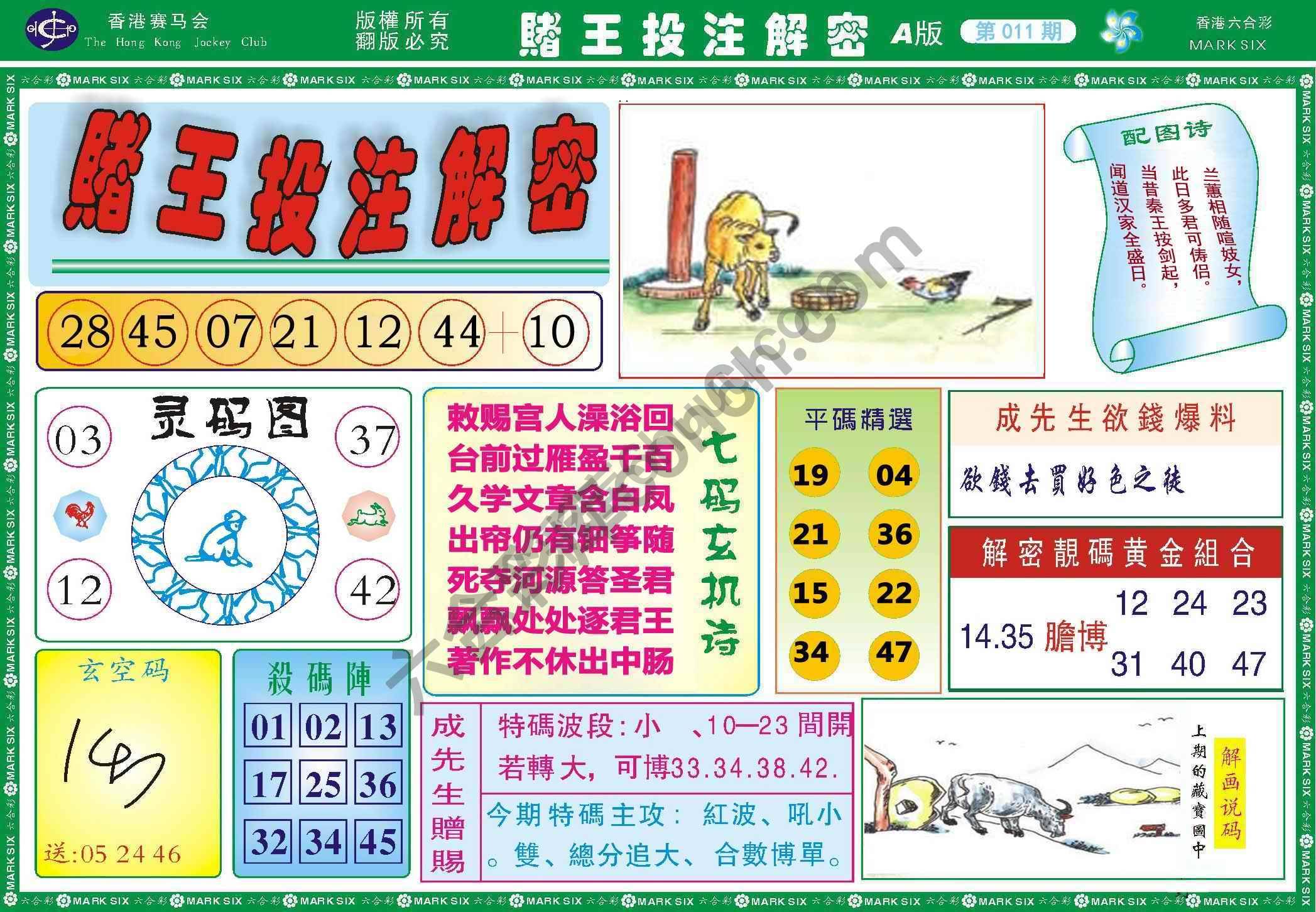 赌王投注解密