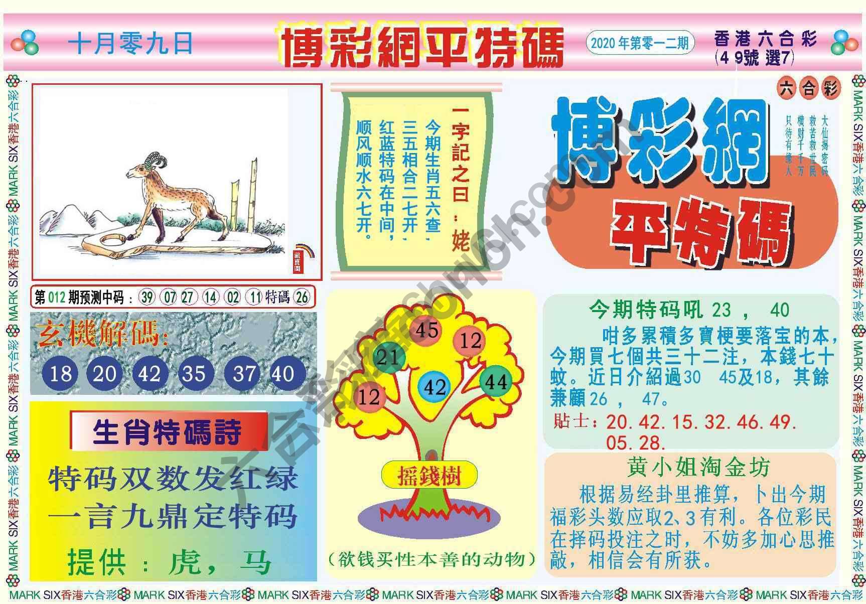 博彩网平特码