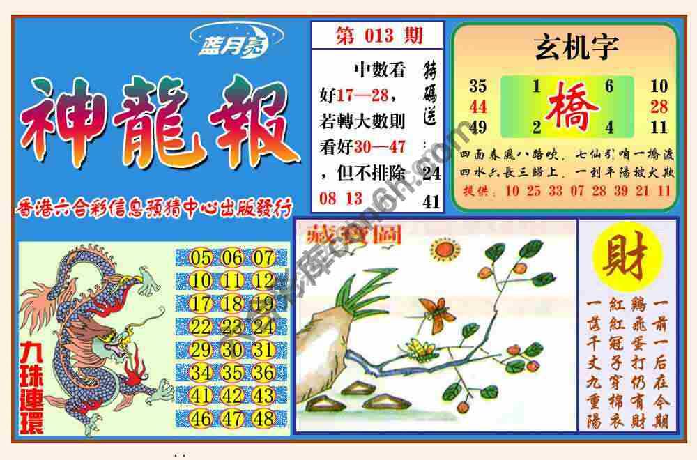 蓝月亮神龙报