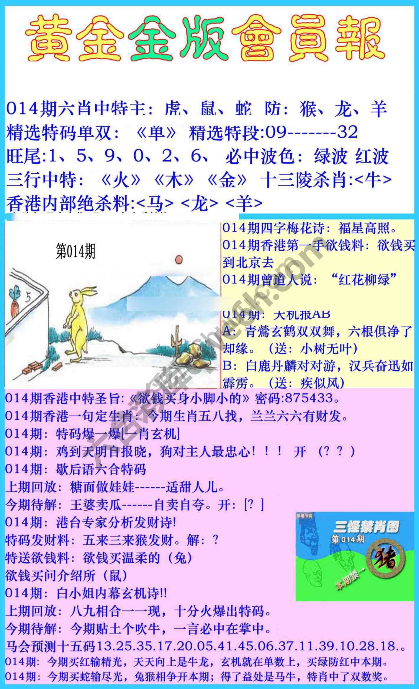 黄金金版会员报