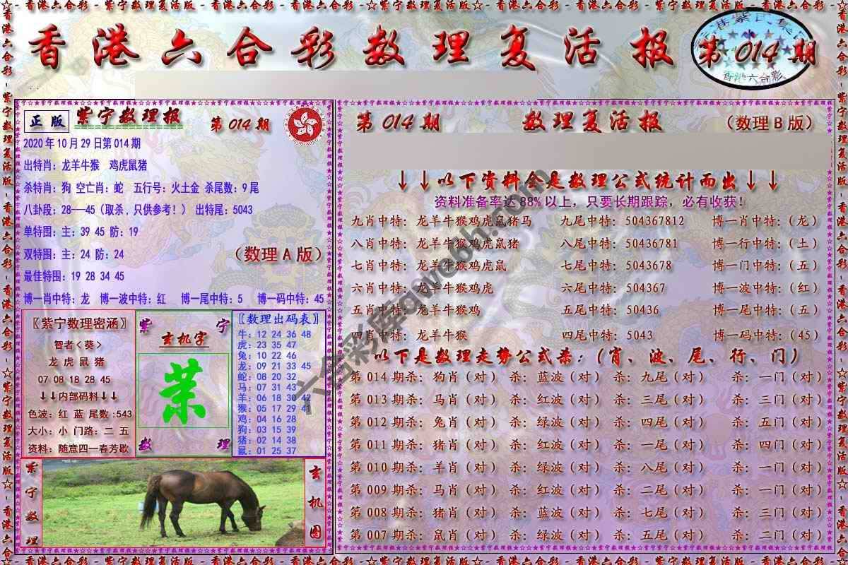 数理复活报