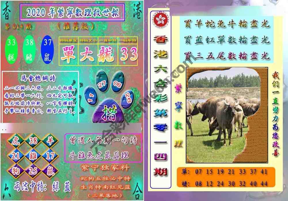 数理救世报