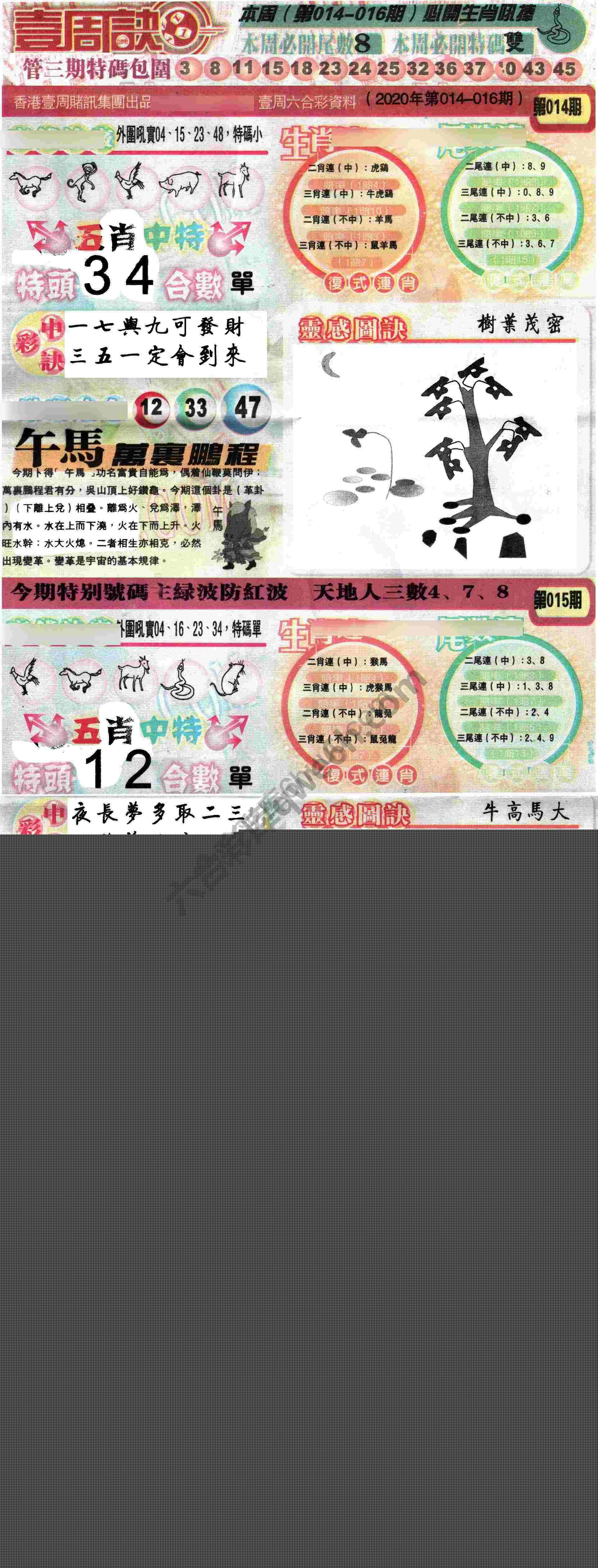一周决