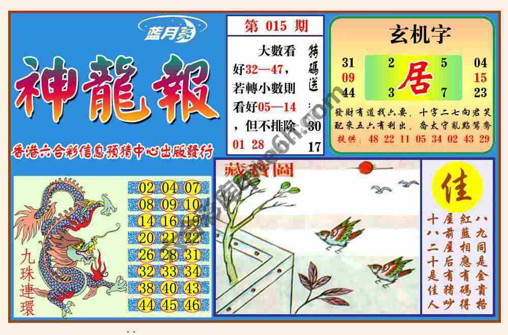 蓝月亮神龙报