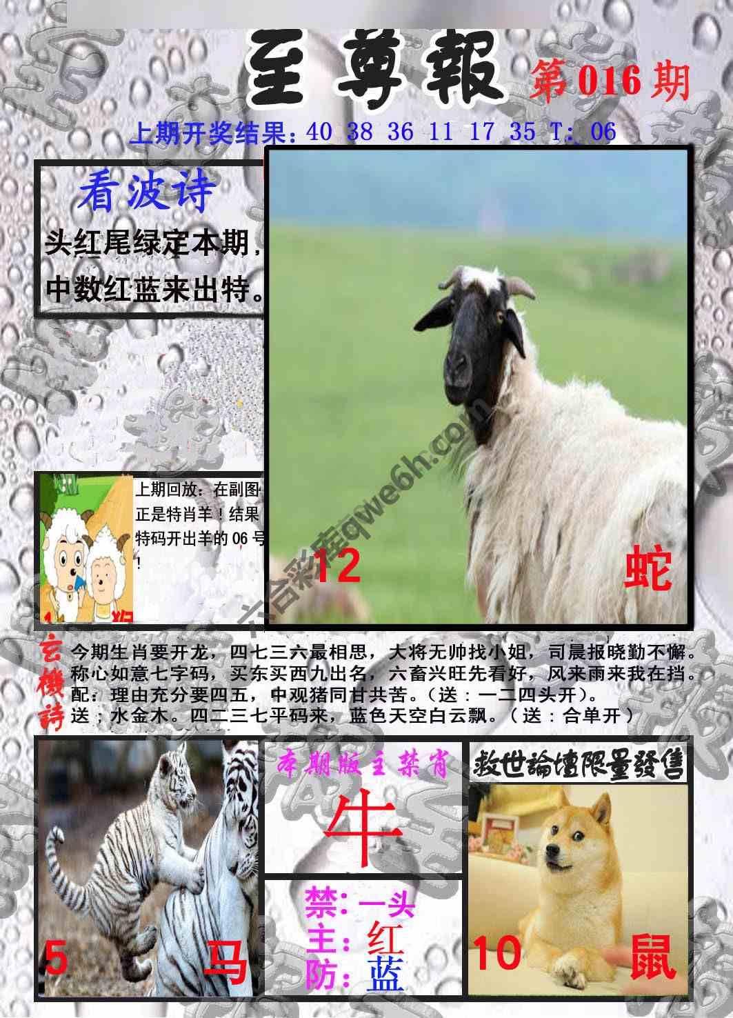 至尊报