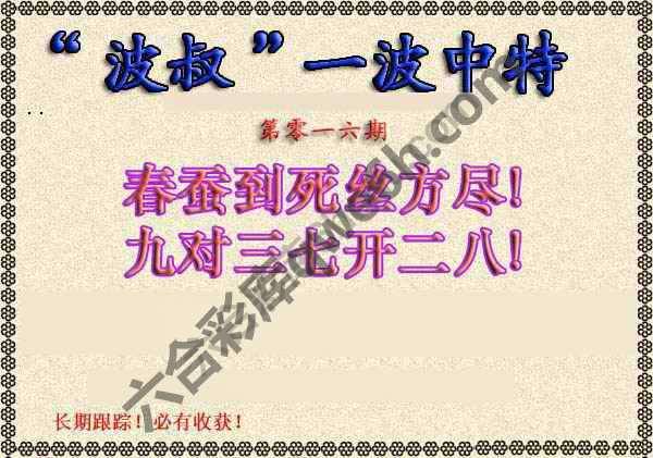 波叔一波中特