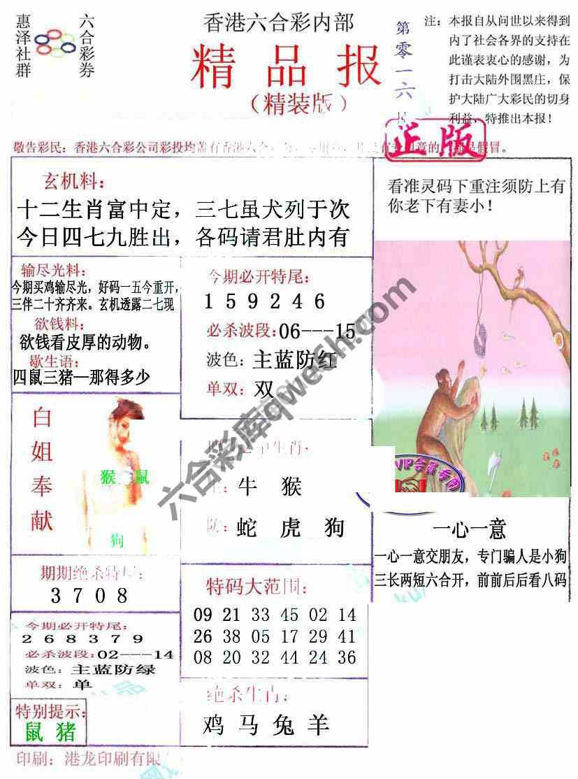 新精品报