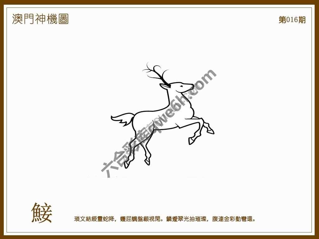澳门神机图