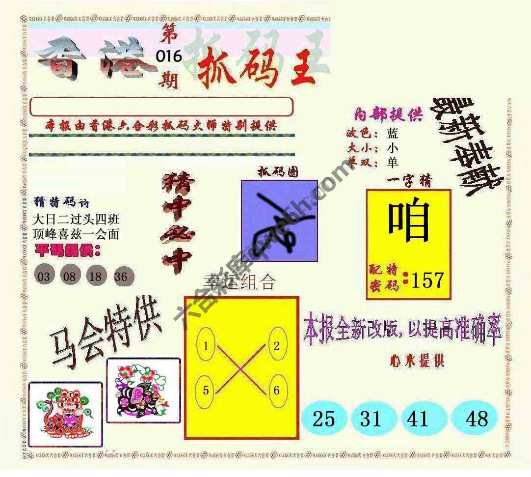 新抓码王