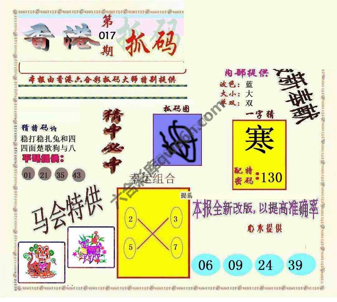 新抓码王