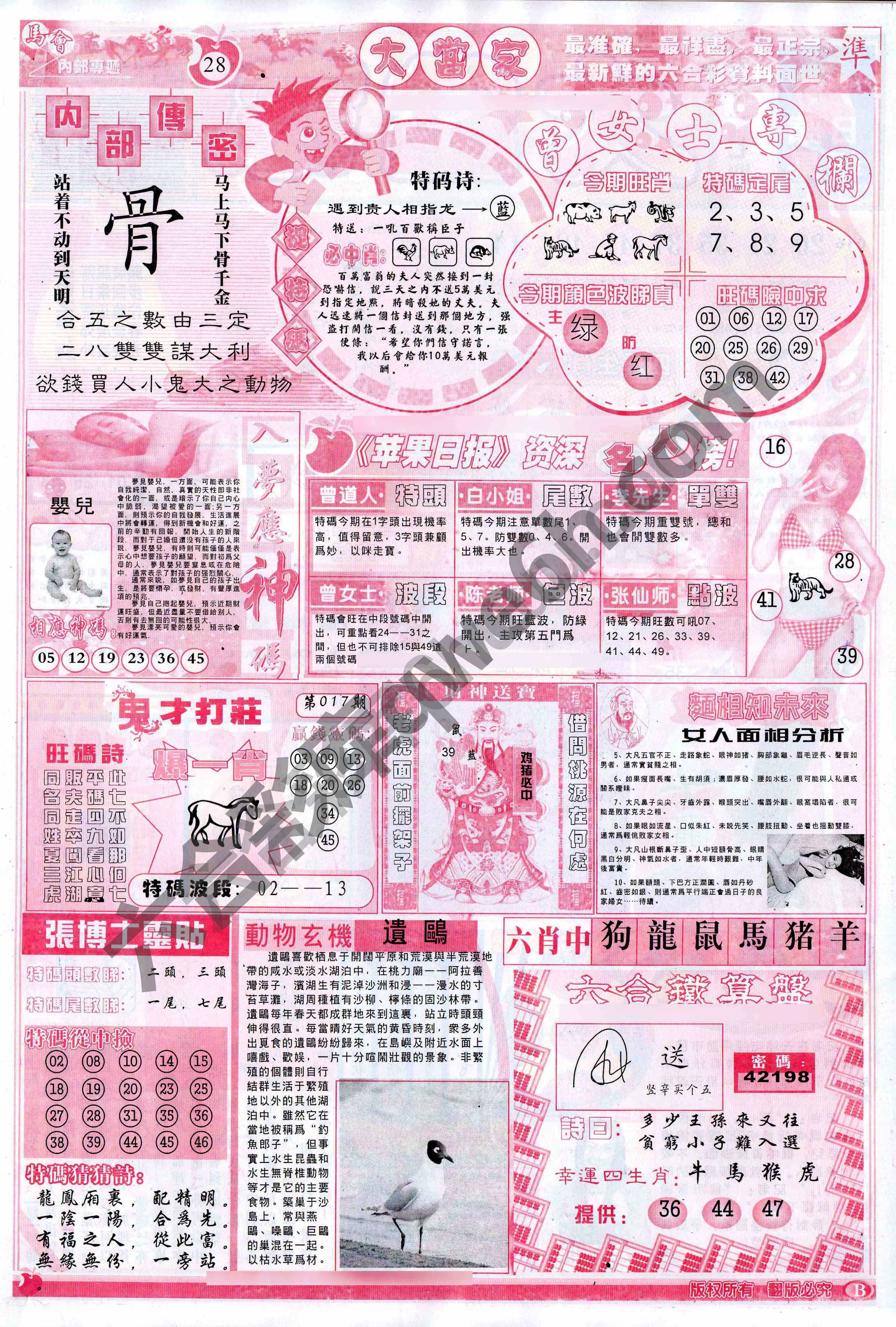 大当家