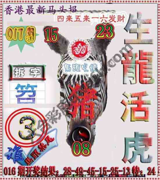 香港马头报