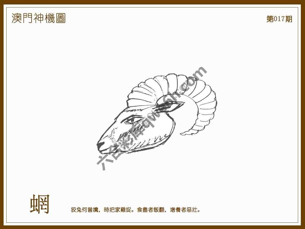 澳门神机图