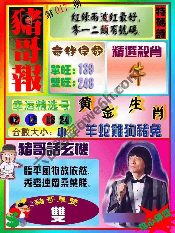 猪哥报