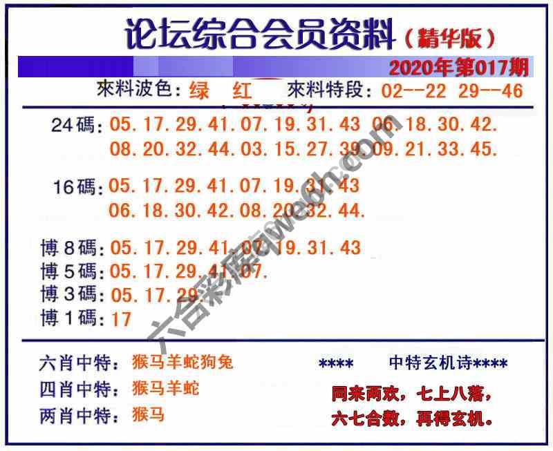 综合会员资料