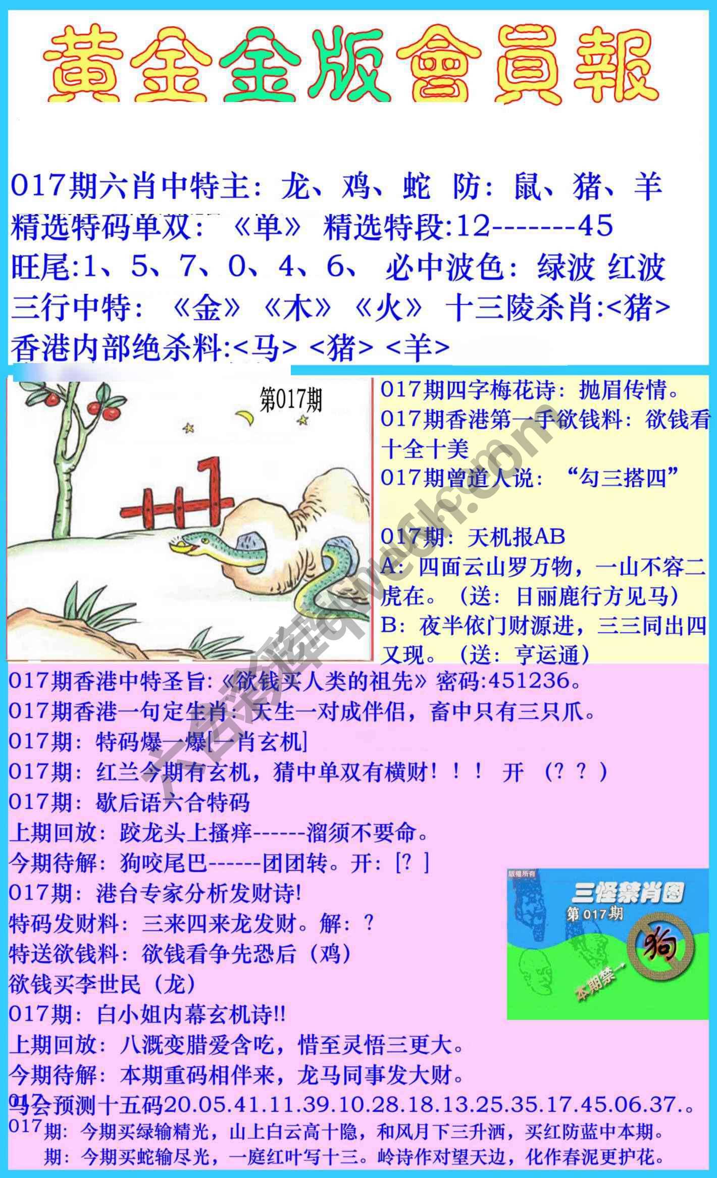 黄金金版会员报