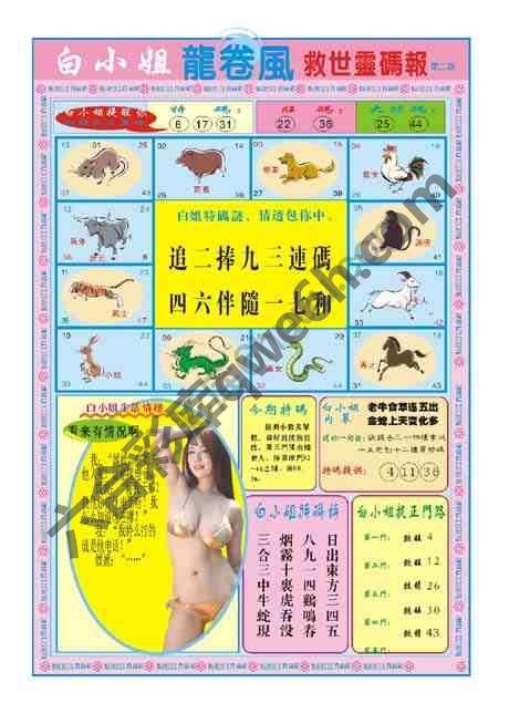 白小姐救世灵码报